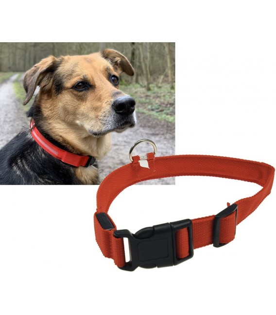 Hunde-Halsband leuchtend mit LED Bild 1