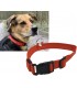 Hunde-Halsband leuchtend mit LED Bild 8