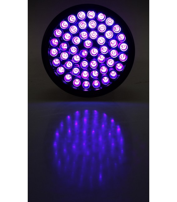 LED-Taschenlampe mit 51 UV LEDs Bild 6
