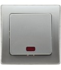 DELPHI Kontroll-Schalter mit Lämpchen silber